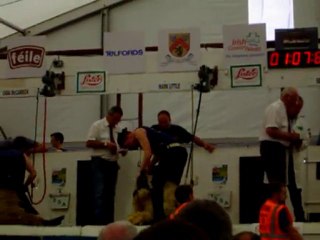 TONTE DES MOUTONS A PORT LAOISE