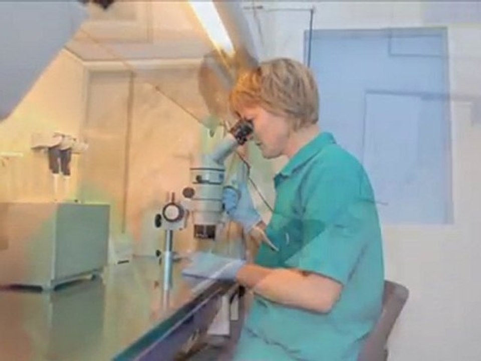 Læge Fyn Odense C Odense Ivf-Klinik Aps