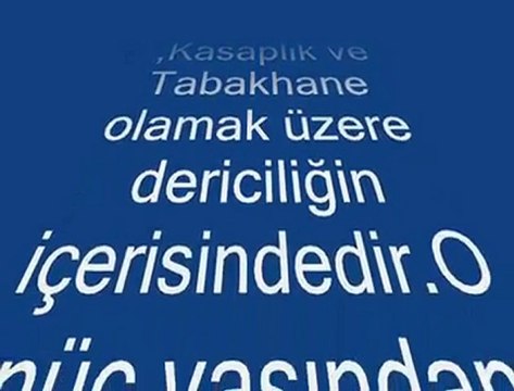 Türk İslam El Sanatları (Deri Dağlama Sanatı)