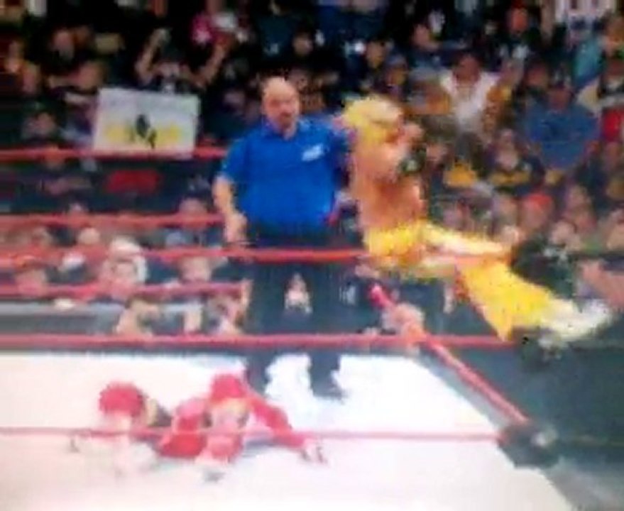 Springbock moonsault