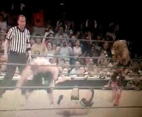 double spinebuster et corde a linge