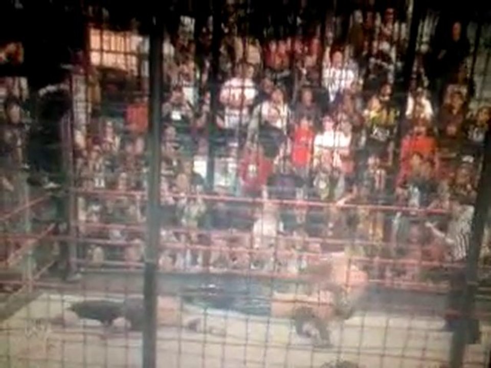 Sweet chin music,codebreaker,pedigree,swanton bomb sur umaga