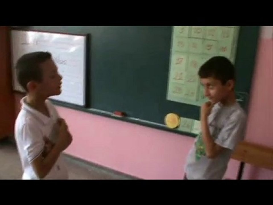 Klip Ağustos Böceği ile Karınca