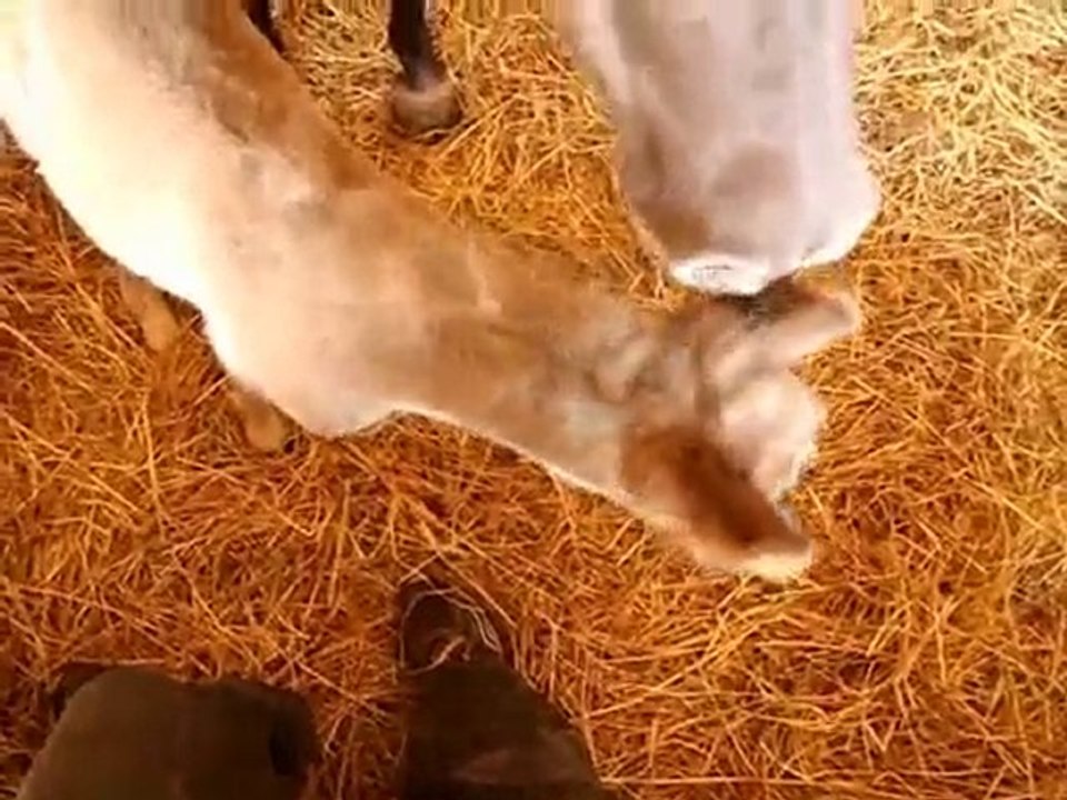 premiere et deuxieme visite à Azur