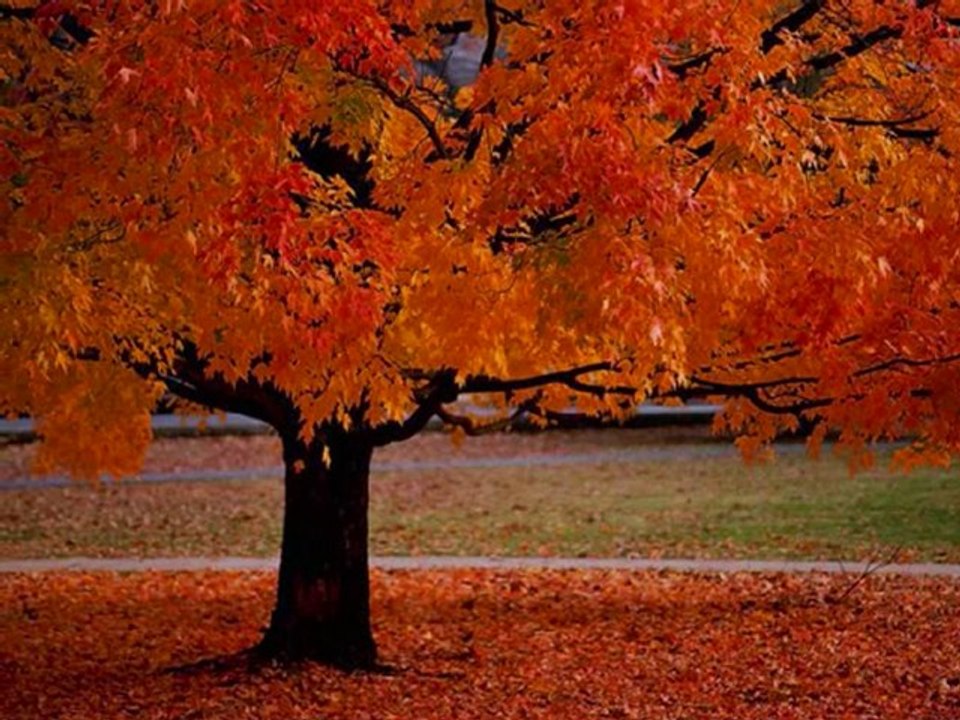 Şiir: "Senin İçin Yapabileceklerim" : Savaş ŞENEL