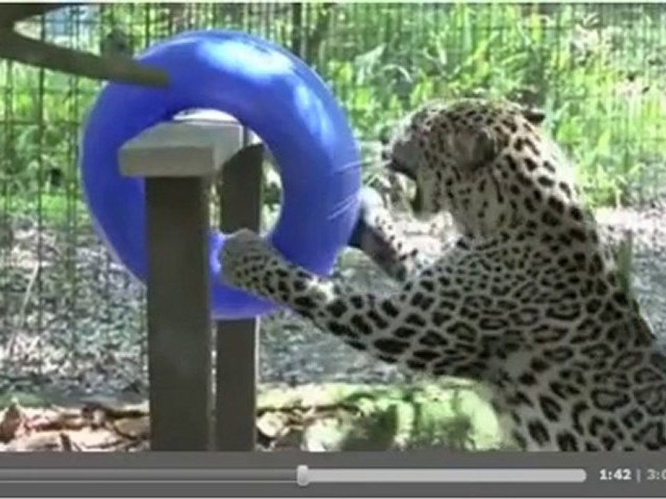 Want Your OWN Oprah Winfrey Network TV Show?