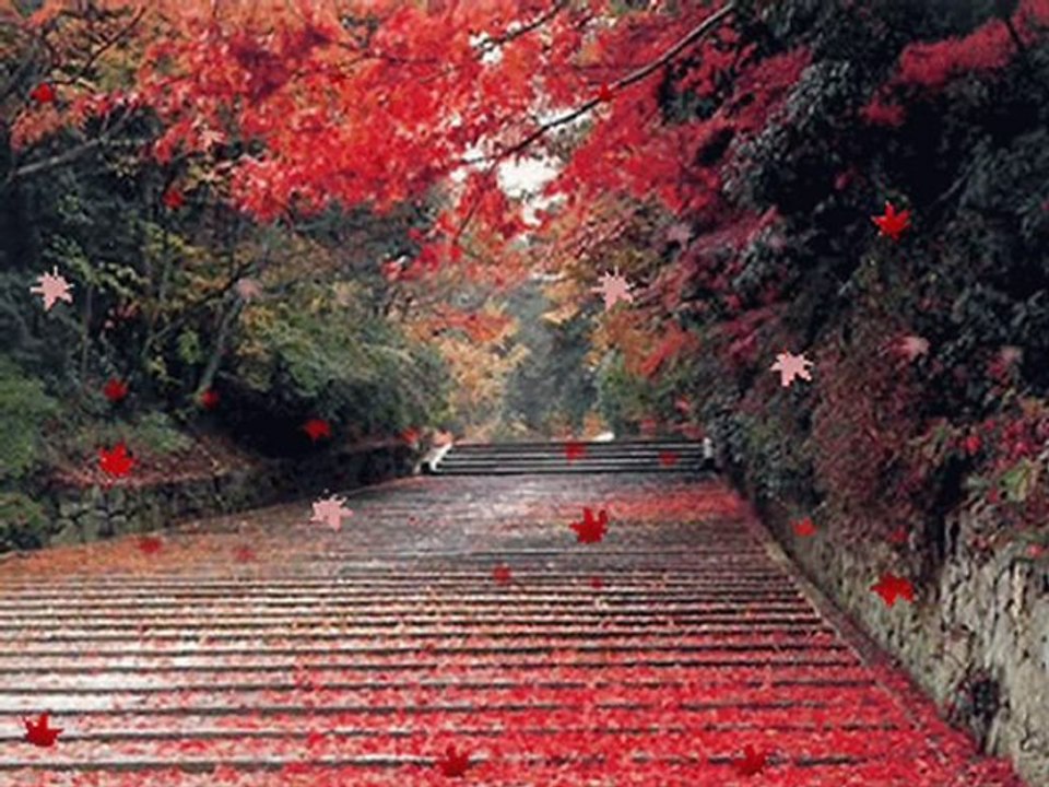 ERTUĞRUL DEMİR - EŞREF ZİYA TERZİ (DÜET) - SENSİZ