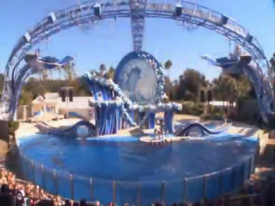 SeaWorld - Celebrating Dolphins - Blue Horizons 01
