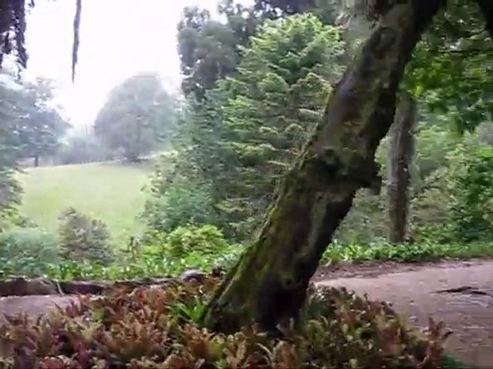 Capela de Monserrate em Sintra (da Lenda de Monserrate)