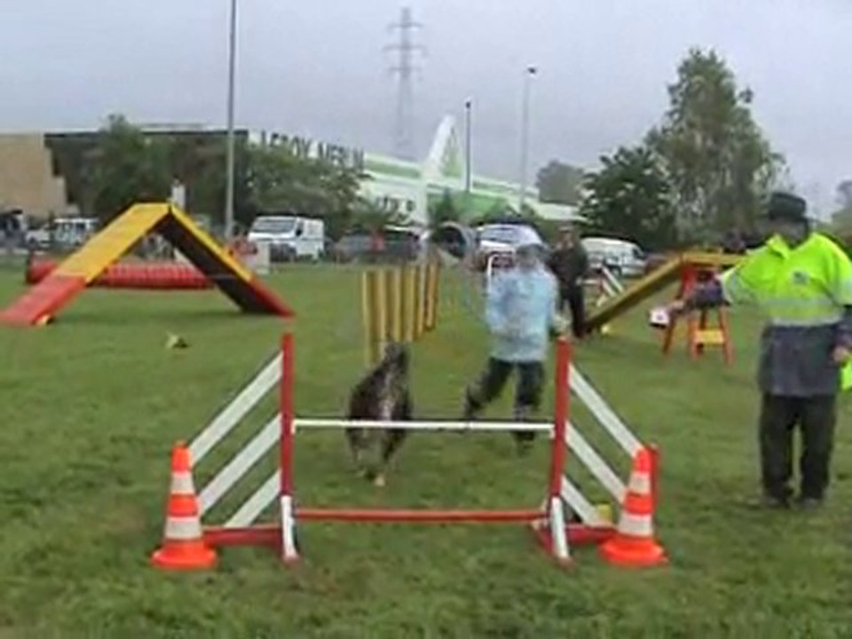 2010_05_30 Thoiry agility 1er degrés & 2ème degrés