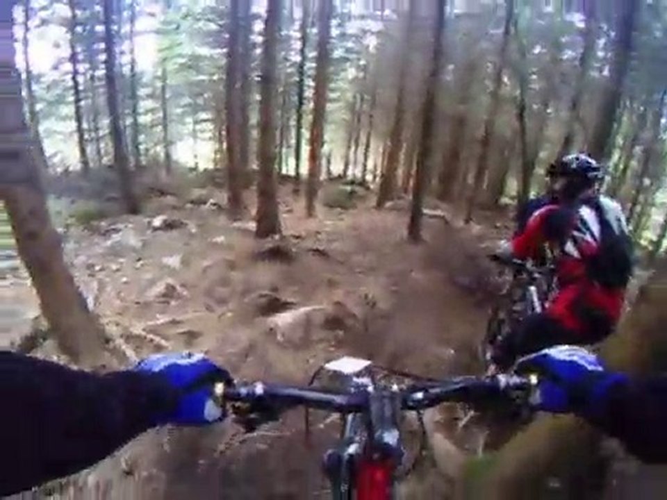 Descente de la roots LES VOSGUES