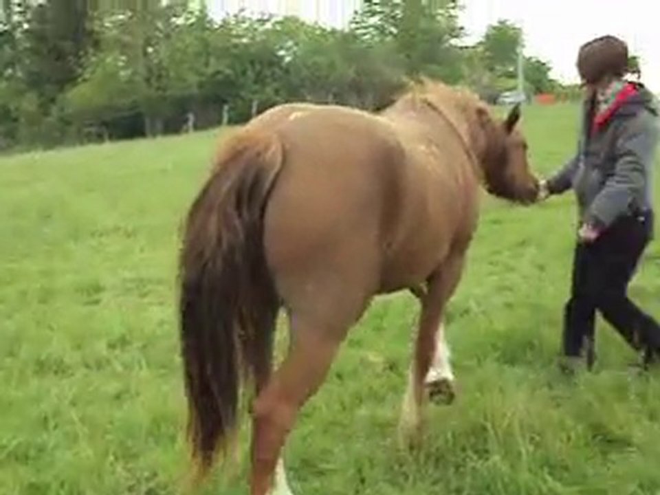 Ucky et Moi : Mai 2010