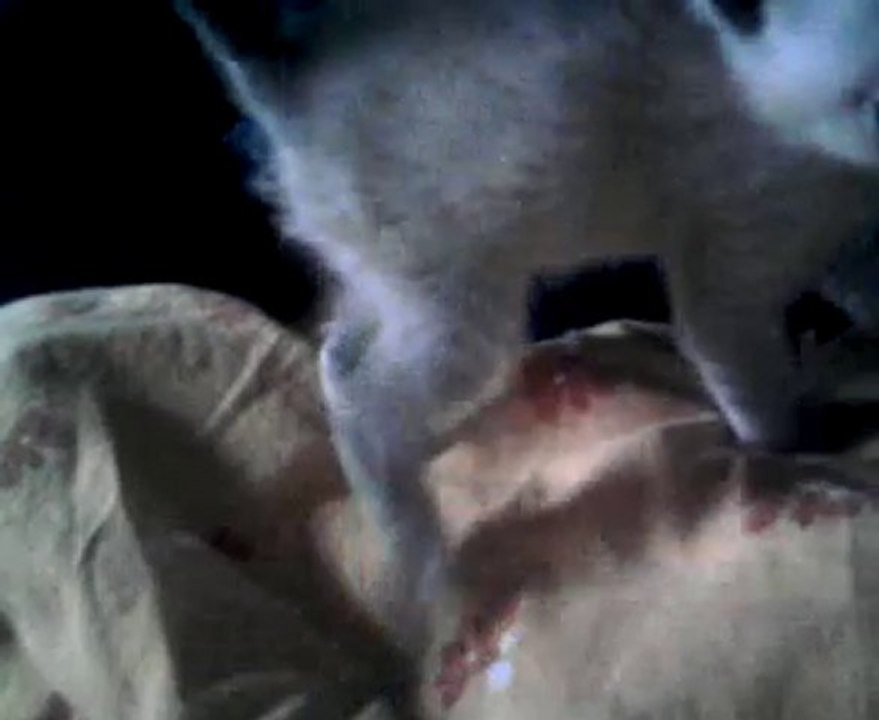 video-2010-06-11-Totoro 2