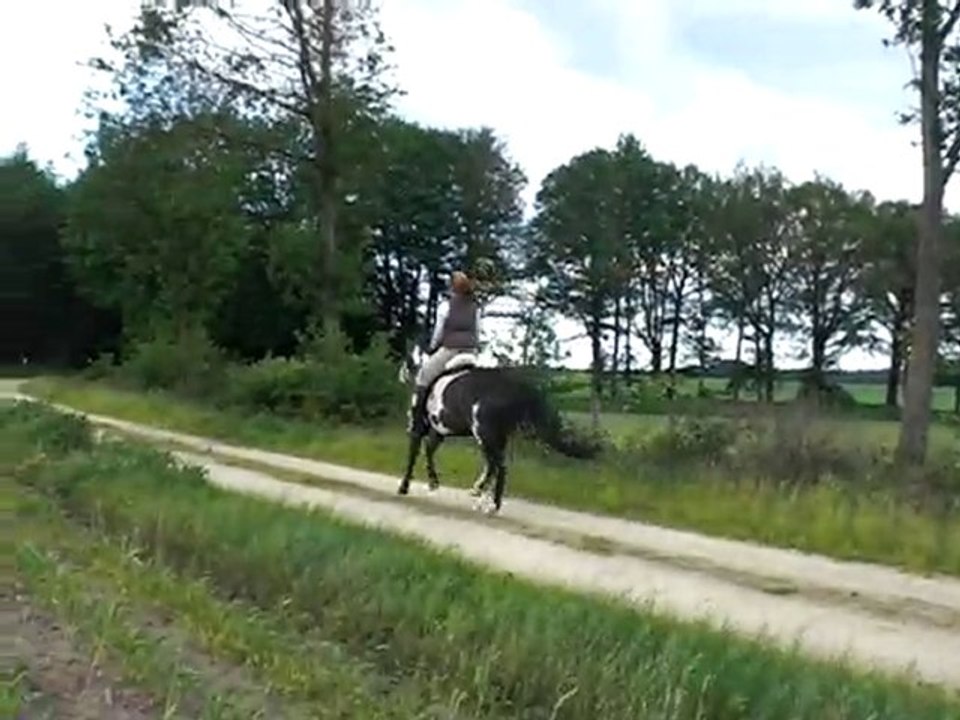 Emma und Ich - Galopp im Gelände