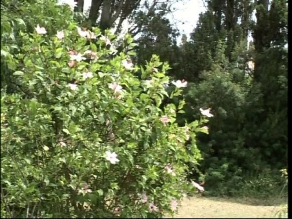 Film ANASTASIA-4.  Фильм «Анастасия», четвертый отрывок.