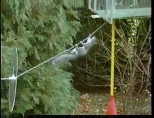 Écureuil Agent M.I.