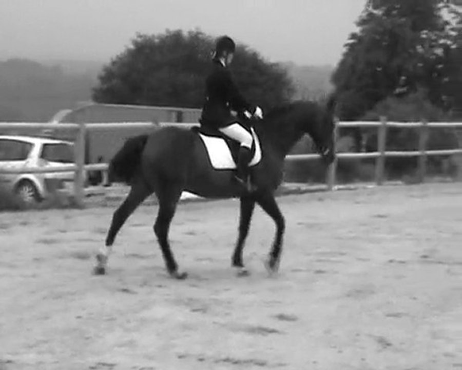 hercule (vidéo vite fait)