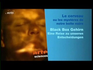 Le cerveau ou les mystères de notre boîte noire (1)