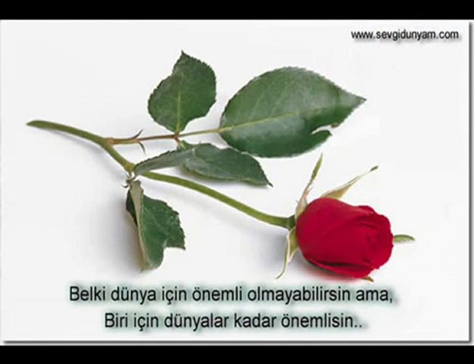 cengiz kurtoğlu yalancı bahar dodurgali20