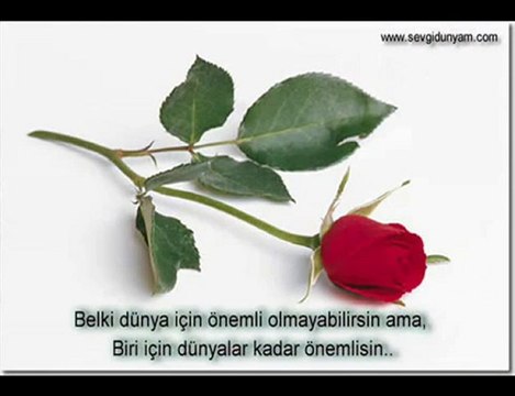 cengiz kurtoğlu yalancı bahar dodurgali20