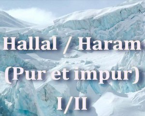 Hallal - Haram (Pur et impur).