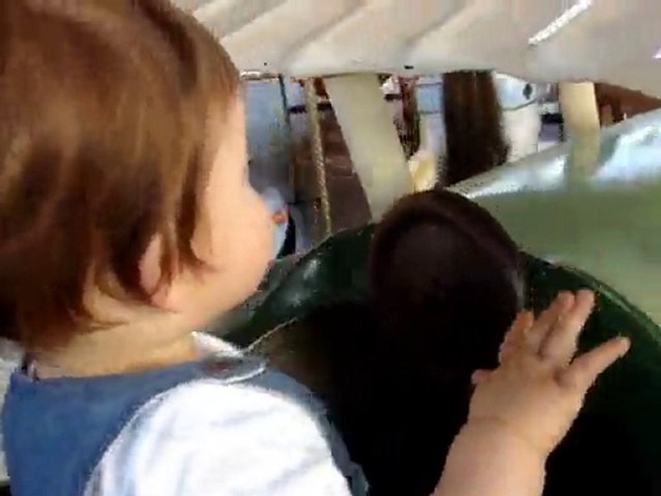 Premier tour de manège