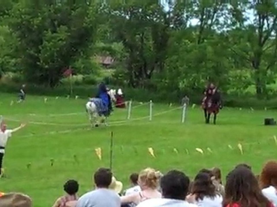 Alyssa regarde les chevaux
