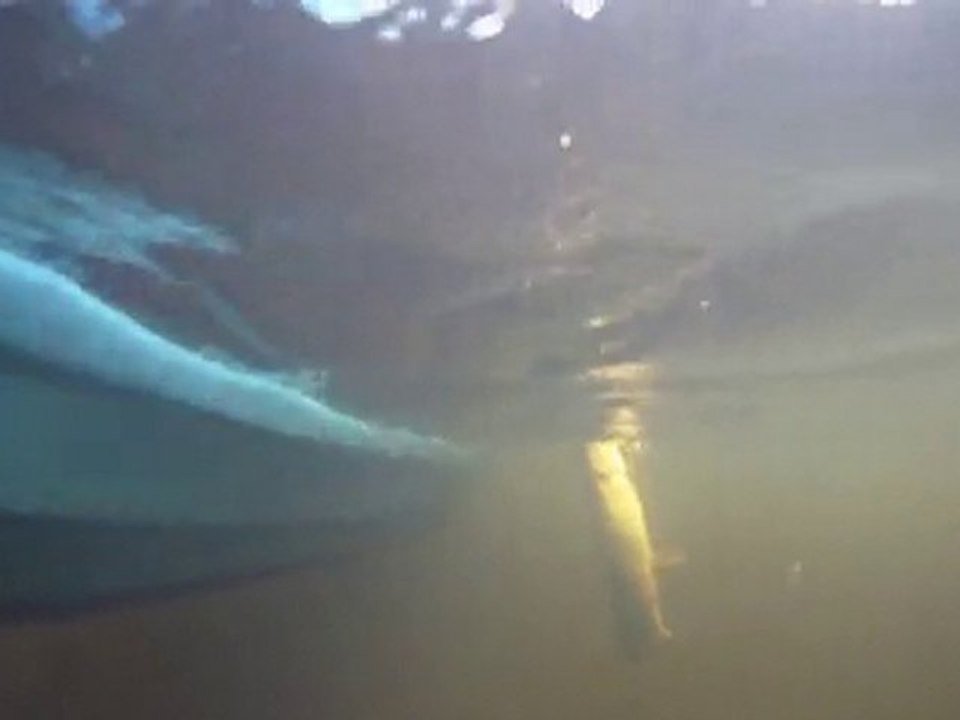 broc97sub