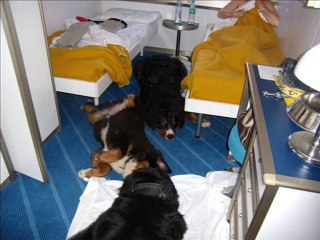 19.05.10 RETOUR CORSE le boubous'band sur le bateau,