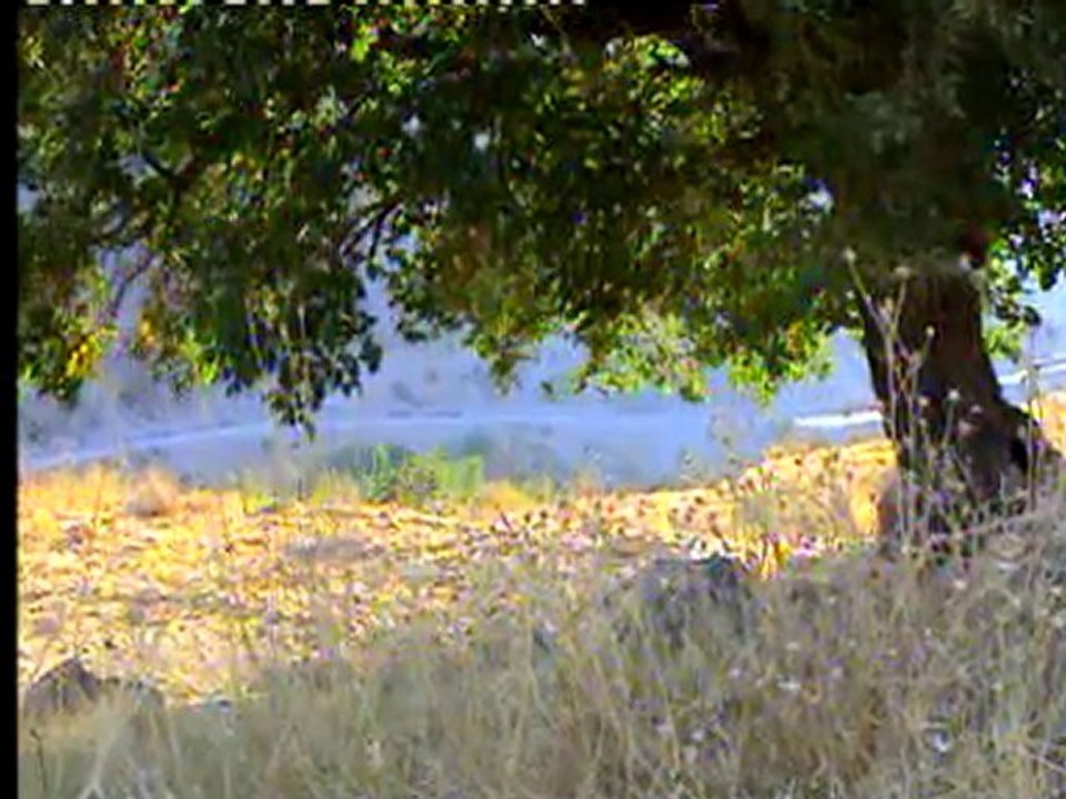 ERKENEK Asagıkoy ve Piknik