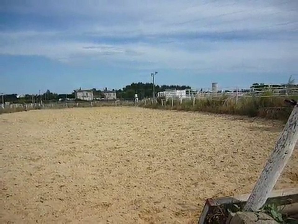 Patentado, galop