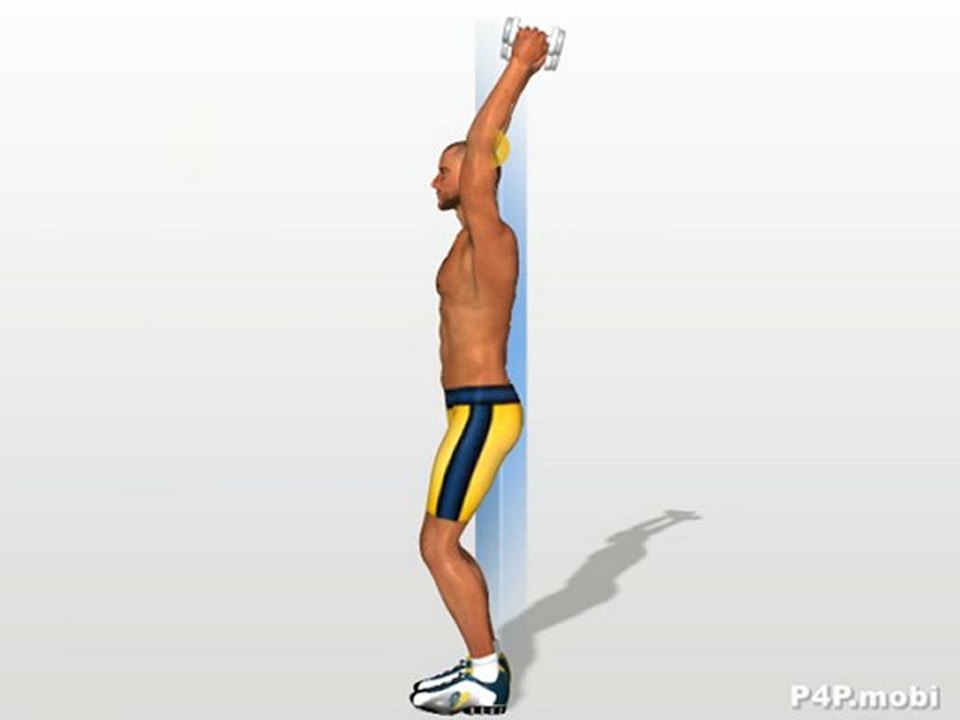 Extension avant bras avec haltères, triceps