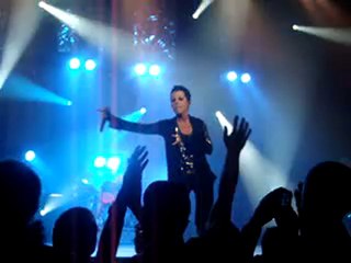 Cranberries- analyse