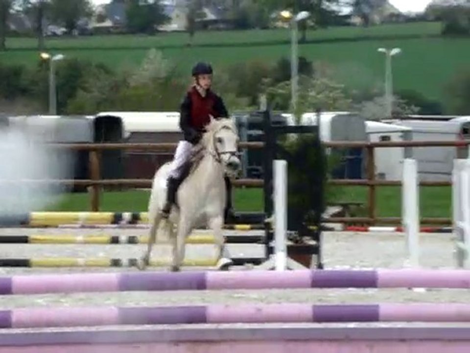 Poneys Sous Les Pommiers 2010