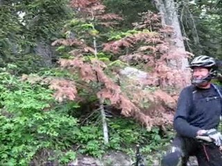 VTT Morgon Sentier de Charance