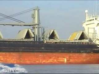 Expedición Mesopotamia #304 - Zona Safari TV