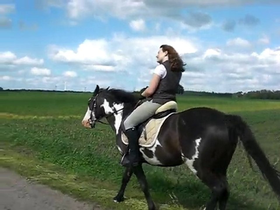 Emma und Ich - Schritt im Gelände