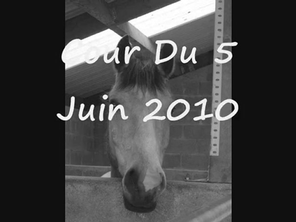 Moi Et Nico ♥♥♥♥♥♥♥♥