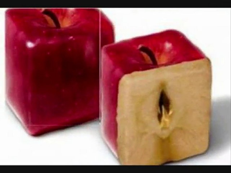 helal gıdalar ,domuz çiftlikleri,gdo