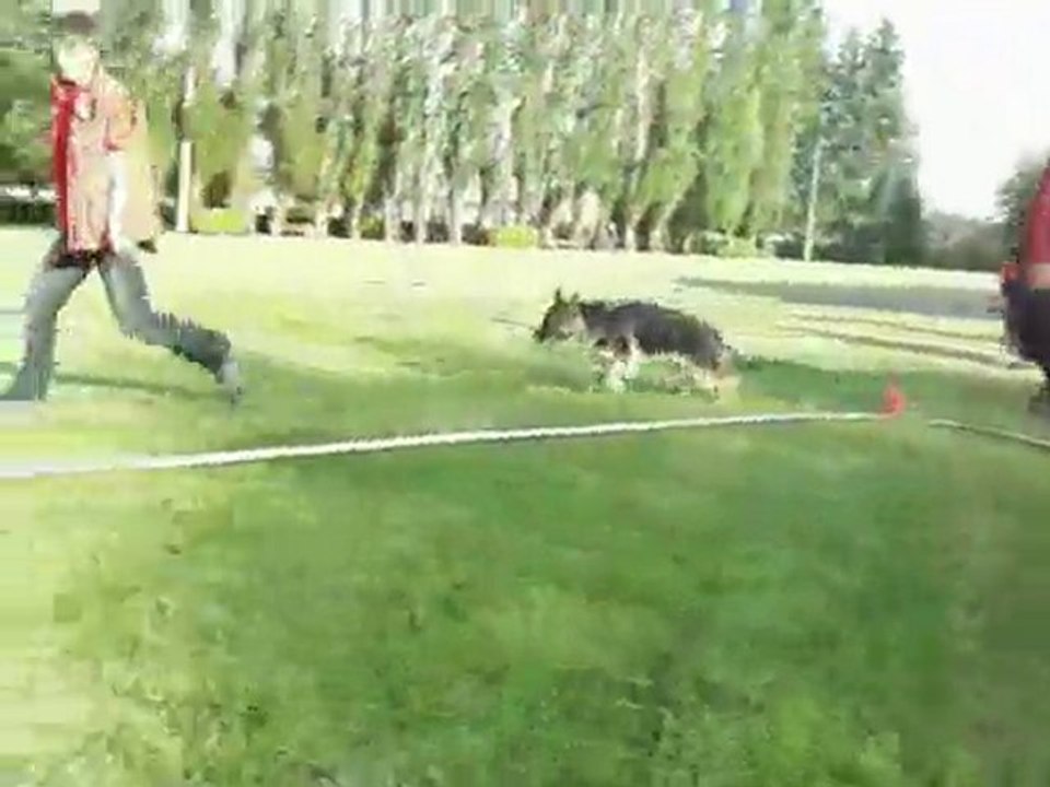 Flutter berger allemand essai expo 2