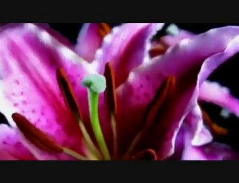 YIGIT CITAK - CARUSO ( Te voglio bene assai)