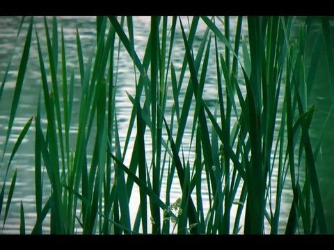 TEST CAMERA HDC-SD700 Panasonic sd 700 sd700