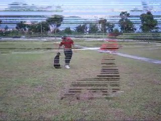 Dog Training: Fit & PAWbulous Fitness Program