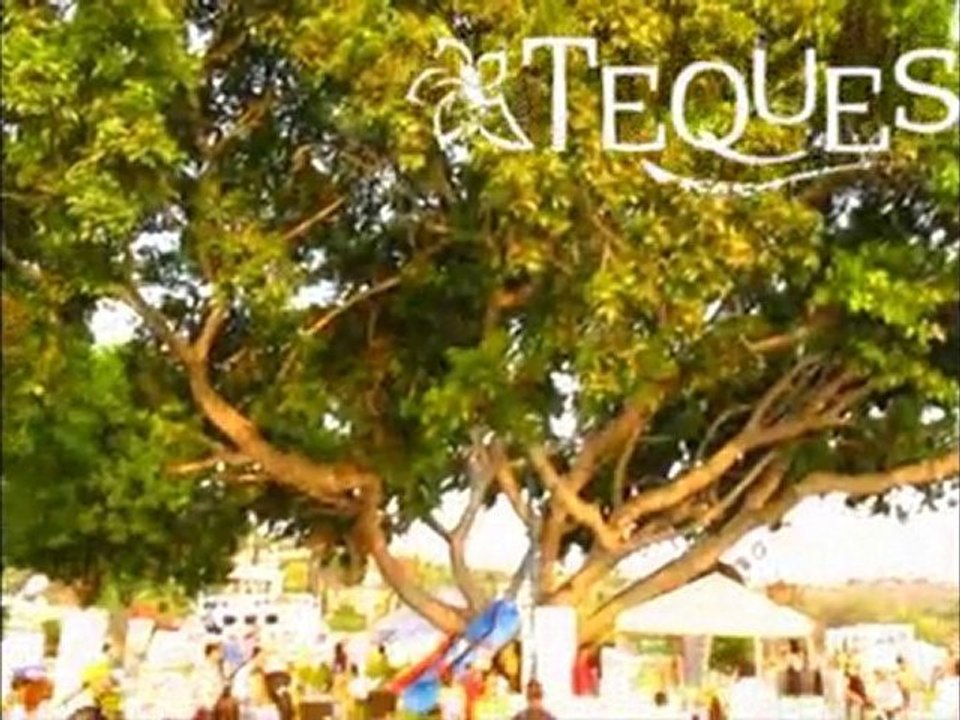 Show Aereo Tequesquitengo Morelos