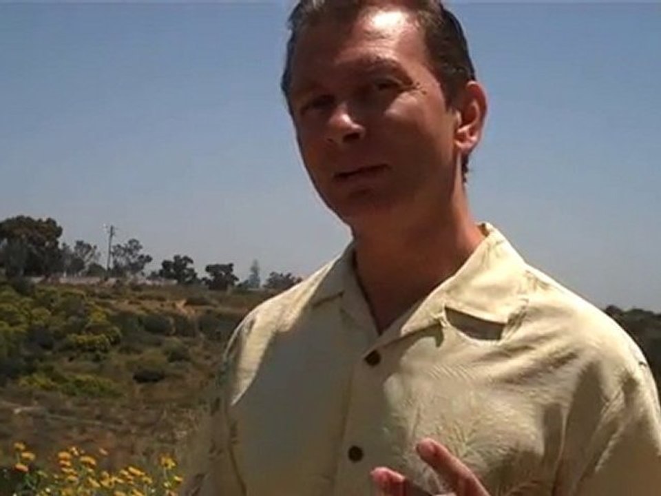 "Main St Marketing Scam, Traffic Geyser Review,Firepower"