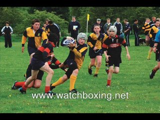 watch Wales vs South Africa 5th June live online