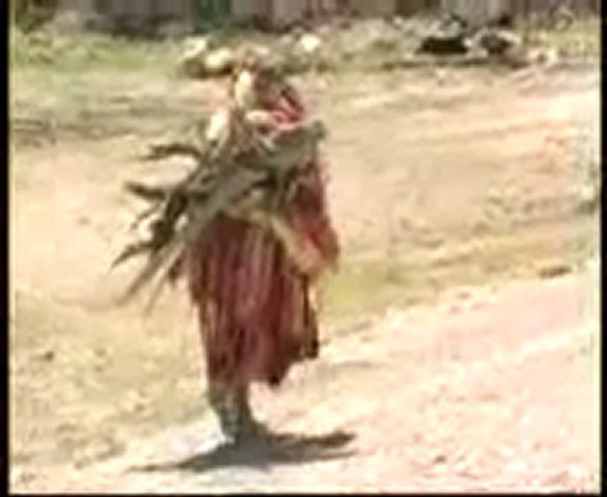 Tarek Zaroui - zraoua (1)