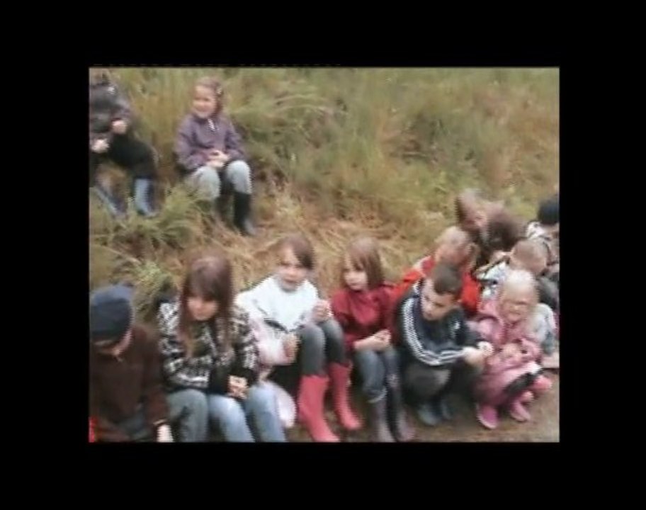 Classe verte de l'école Langevin  de Harnes