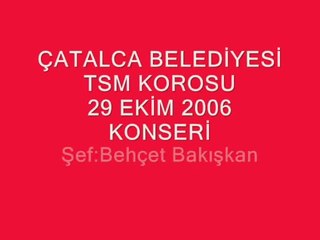 Aklımı Başımdan Aldı Gözlerin - Güler Erçevik