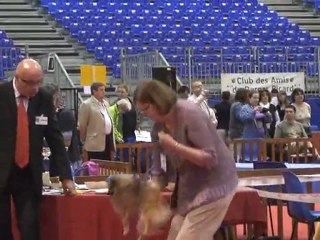 Douai - Spéciale Spitz - Dimanche 13 juin 2010